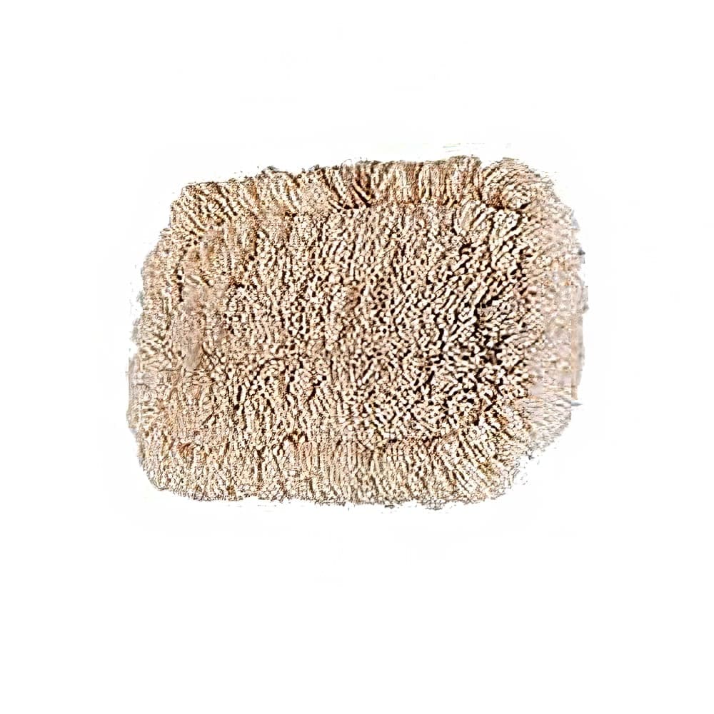 Rubbermaid FGS29900WH00 9" Wall Washer Replacement Pads for FGS21600GY00