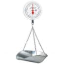 Detecto MCS-20DH Plated S-Hook Hanging Scale w/ Double Dial, 2 Revolution, 20 lb thumbnail 3