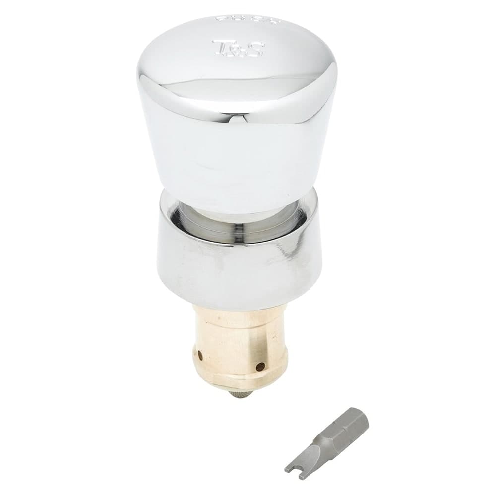 T&S 238AB Self Closing Metering Cartridge w/ Blank Push Button