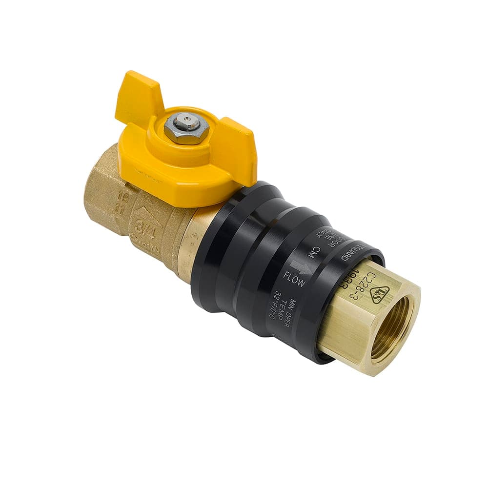 T&S AG-9E Combination Gas Valve w/ Quick Disconnect, 1" Female Connections