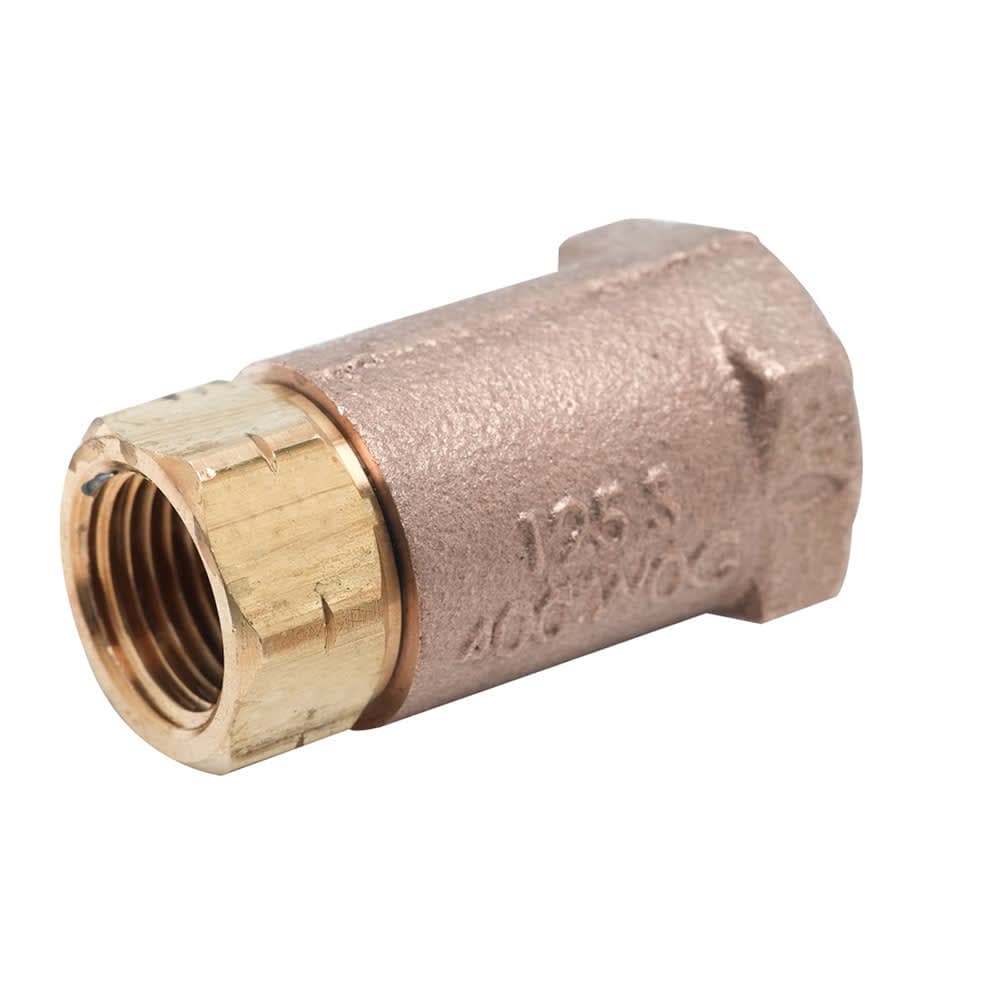 T&S B-CVH1-2 Horizontal Check Valve w/ 1/2" NPT Female Connection