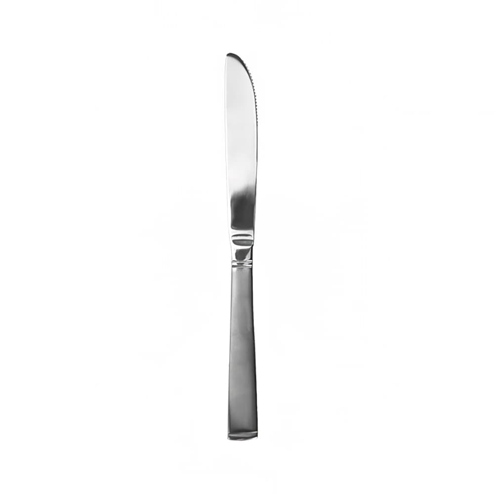 ITI 9 1/4" Dinner Knife with 18/0 Stainless Grade, Cora Pattern (CO-331)