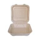ITI Square Sugar Cane 1-Compartment Hinged Container - 9"x9"x3" (TG-B-99) thumbnail 2