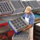 Cambro 16S638163 Camrack® Glass Rack w/ (16) Compartments - (3) Gray Extenders, Red thumbnail 2