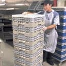 Cambro BR578184 Camrack Base Rack - (2)Extenders, 1 Compartment, 7 1/4"H, Beige thumbnail 3