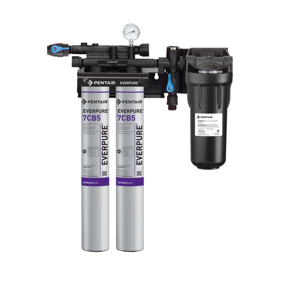 Everpure EV979722 KleenSteam II® Twin 7CB5 Combination Water Filter Cartridge Assembly