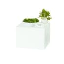 Cal-Mil 23123-11-15 14" Square Display Riser - 11"H, Metal, White thumbnail 2