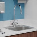 Elkay LK500GN08L2 Deck Mount Double Pantry Faucet w/ 8" Gooseneck Swing Spout & 2" Lever Handles thumbnail 2