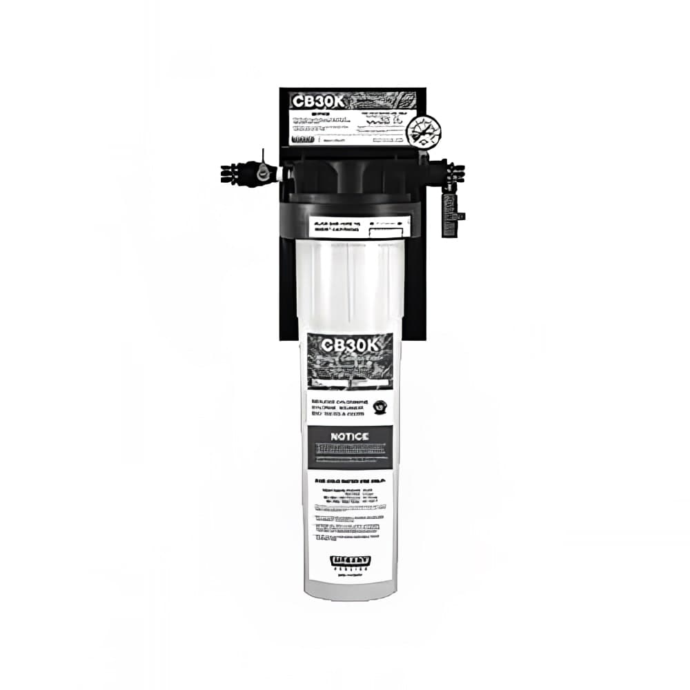 Vulcan CB30K-SYSTEM Single Hollow Carbon Filter System 30,000-Gallon