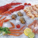 Manitowoc Ice RFF1300W 30" Flake Ice Machine Head - 1365 lb/24 hr, Water Cooled, 208-230v/1ph thumbnail 10