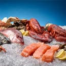 Hoshizaki F-1501MWJ 30" Flake Ice Machine Head - 1624 lb/24 hr, Water Cooled, 208-230v/1ph thumbnail 4