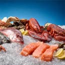 Hoshizaki F-2001MLJ 30" Flake Ice Machine Head - 2280 lb/24 hr, Remote Cooled, 115v/1ph thumbnail 3