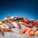 Hoshizaki F-2001MWJ 30" Flake Ice Machine Head - 2043 lb/24 hr, Water Cooled, 208-230v/1ph thumbnail 3