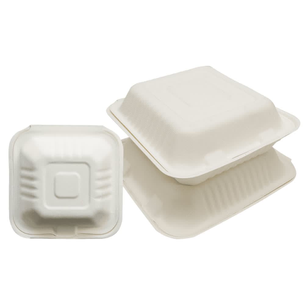Empress Hinged Lid Food Container - 6" x 6" x 3", Plastic, Natural (EPPHL-66)