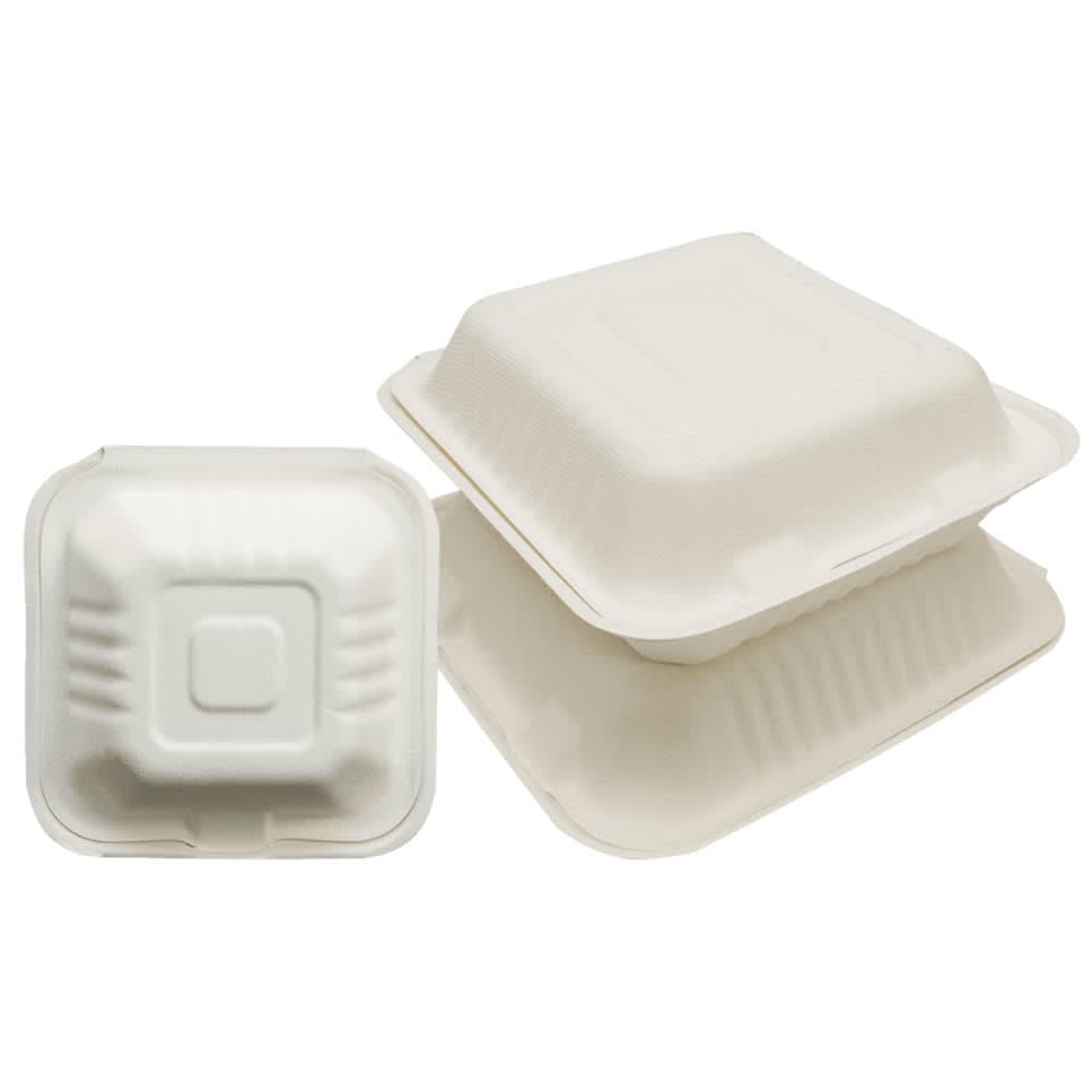 Empress Hinged Lid Food Container - 9" x 9" x 3", Plastic, Natural (EPPHL-91)