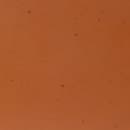 Elite Global Solutions 10 3/4" Round Melamine Dinner Plate, Sunburn Terra Cotta (B182106-STCS) thumbnail 4