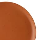 Elite Global Solutions 10 3/4" Round Melamine Dinner Plate, Sunburn Terra Cotta (B182106-STCS) thumbnail 7