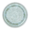 Elite Global Solutions 5 1/4" Round Melamine Monet Plate - Sea Moss (B190053-SM) thumbnail 2