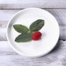 Elite Global Solutions 5 1/4" Round Melamine Monet Plate - White (B190053-W) thumbnail 6