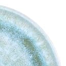 Elite Global Solutions 8" Round Melamine Monet Plate - Sea Moss (B190080-SM) thumbnail 5