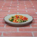 Elite Global Solutions 10 1/2" Round Melamine Dinner Plate, Hemlock (D1025M-H) thumbnail 6