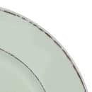 Elite Global Solutions 10 1/2" Round Melamine Dinner Plate, Hemlock (D1025T-H) thumbnail 5