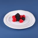 Elite Global Solutions 7 1/2" Round Melamine Salad Plate, Off White Stone (D750ST-OWD) thumbnail 6