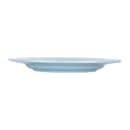 Elite Global Solutions 8 1/2" Round Melamine Salad Plate, Cameo Blue (D850T-CB) thumbnail 3