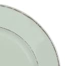 Elite Global Solutions 8 1/2" Round Melamine Salad Plate, Hemlock (D850T-H) thumbnail 5