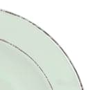 Elite Global Solutions 18 oz Round Melamine Pasta/Soup Bowl, Hemlock (DB10T-H) thumbnail 5