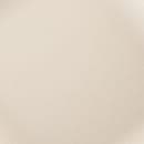 Elite Global Solutions 9" Round Melamine Dinner Plate, Papyrus (ECO99R-PP) thumbnail 6