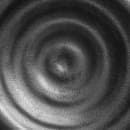 Elite Global Solutions 10 3/4" Square Melamine Dinner Plate, Black (JW1108-B) thumbnail 5