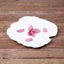 Elite Global Solutions 14" x 13 1/2" Leaf Shape Tropicana Platter - Melamine, White (M14PL-NW) thumbnail 7