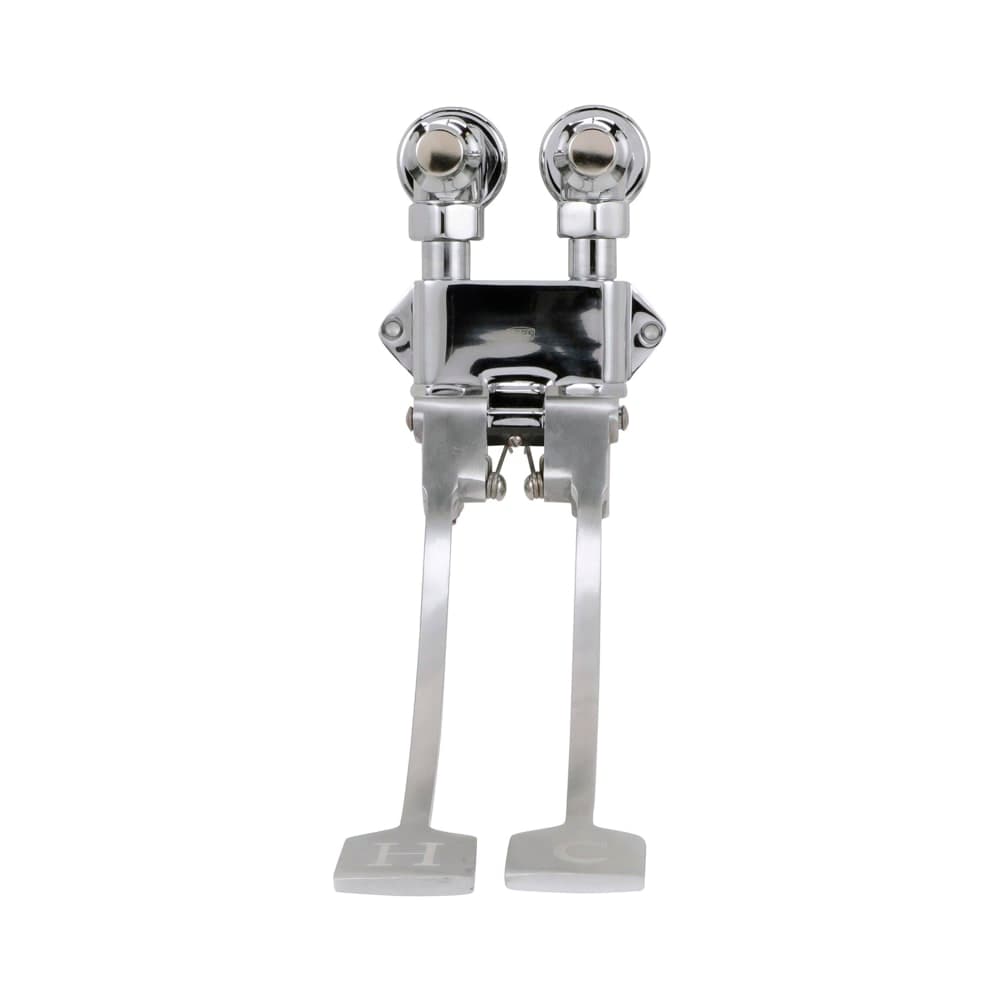 Zurn Industries Z85500-XL-WM Wall Mount Self-Closing Double Foot Pedal Valve