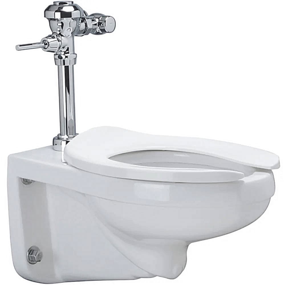 Zurn Industries Z.WC1.M Wall Mount Manual Bowl System - 1.1 gpf