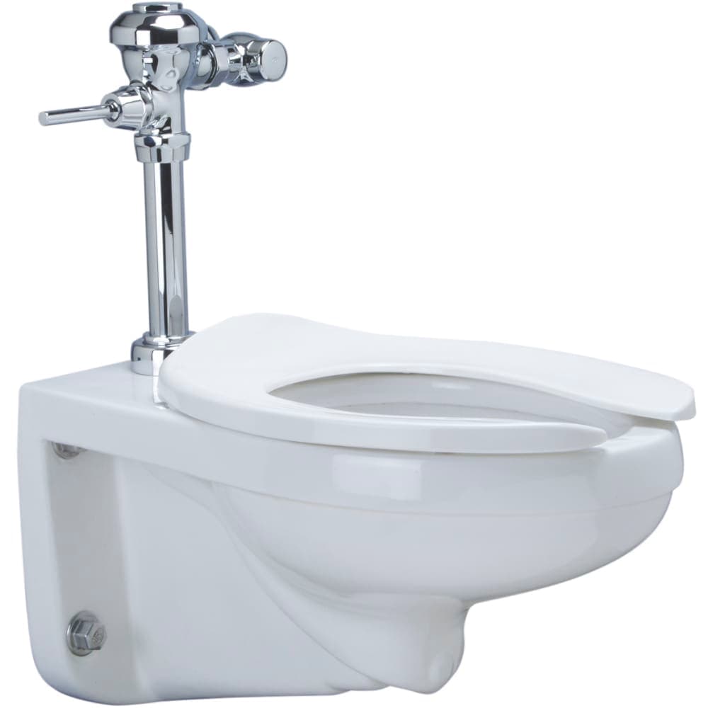 Zurn Industries Z.WC3.M Floor Mount Manual Bowl System - 1.1 gpf