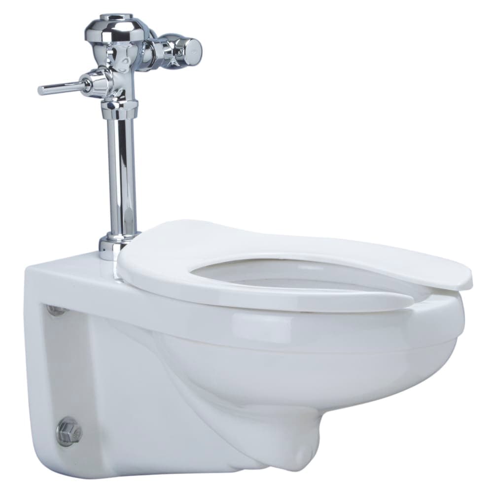 Zurn Industries Z.WC5.M Floor Mount Manual Bowl System - 1.28 gpf