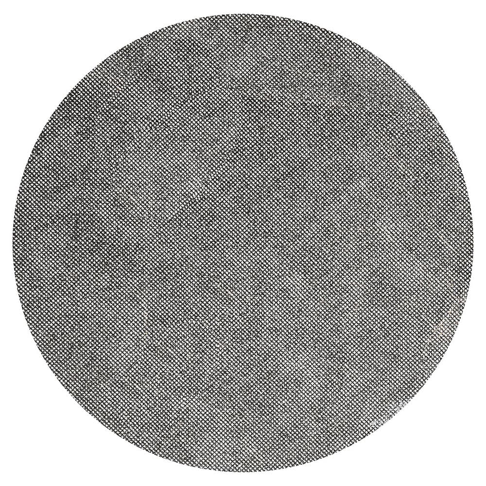 Bissell SS12100 12" Sand Screen for BGEM9000, 100 Grit