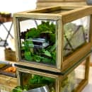 Front of the House Rectangular Rustic Wood™ Drawer Display Set - 6 1/2" x 13", Acrylic/ Wood (BHO084NAW20) thumbnail 2