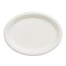 Fineline Oval Disposable Plate - 10 1/4" x 7 3/4", Baggase, White (43OP107) thumbnail 2