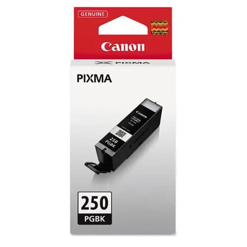 Canon® 6497B001 (PGI-250) ChromaLife100+ Ink Cartridge, Black, 300 Page-Yield