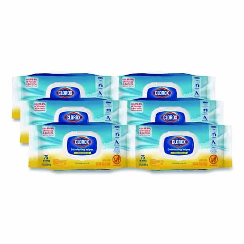 Clorox® Disinfecting Cleaning Wipes, Flex Pack