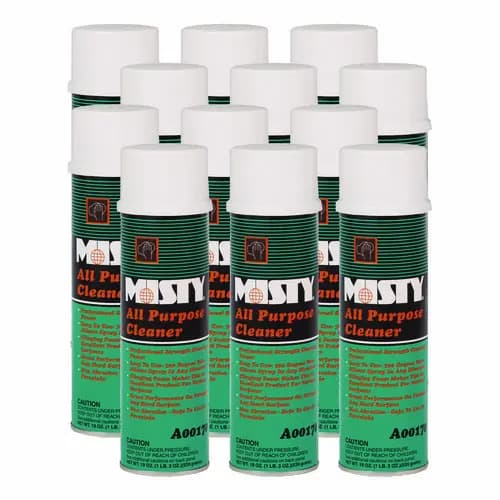 Misty® All-Purpose Cleaner, Mint Scent, 19 oz Aerosol Spray, 12/Carton