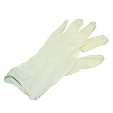 Synthetic Glove Powder Free General Purpose Large, 100 Count