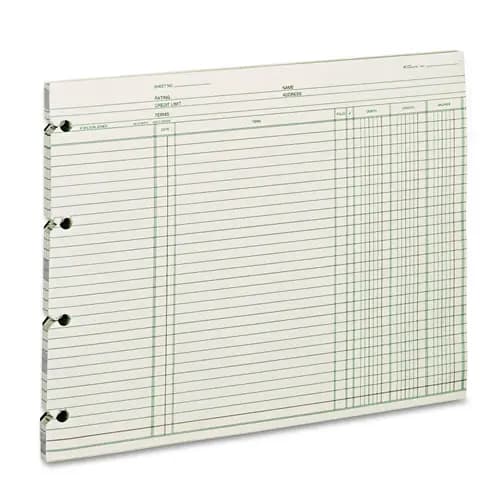 Wilson Jones® Accounting Sheets, 9.25 x 11.88, Green, Loose Sheet, 100/Pack