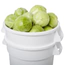 Rubbermaid FG263600WHT 32 gal ProSave BRUTE Container with Dolly - White thumbnail 5