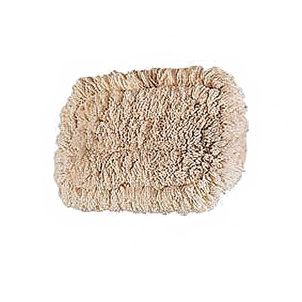 Rubbermaid FGS29900WH00 9" Wall Washer Replacement Pads for FGS21600GY00