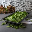 Carlisle 2 1/2"D Full Size Food Pan (10200B03) thumbnail 4