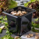 Carlisle 6"D Sixth Size Food Pan (3068503) thumbnail 5