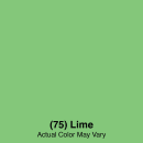 Carlisle 16" Pint Bottle Brush - Poly/Plastic, Lime (40001EC75) thumbnail 2